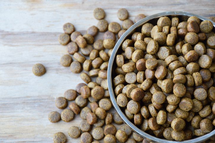 Help Feed Our Dogs – Buy a Bag of Food