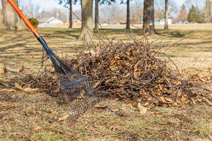 Help Us Keep the Yard Clean and Safe