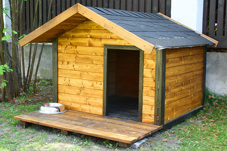 Build Safe Homes for Our Dogs